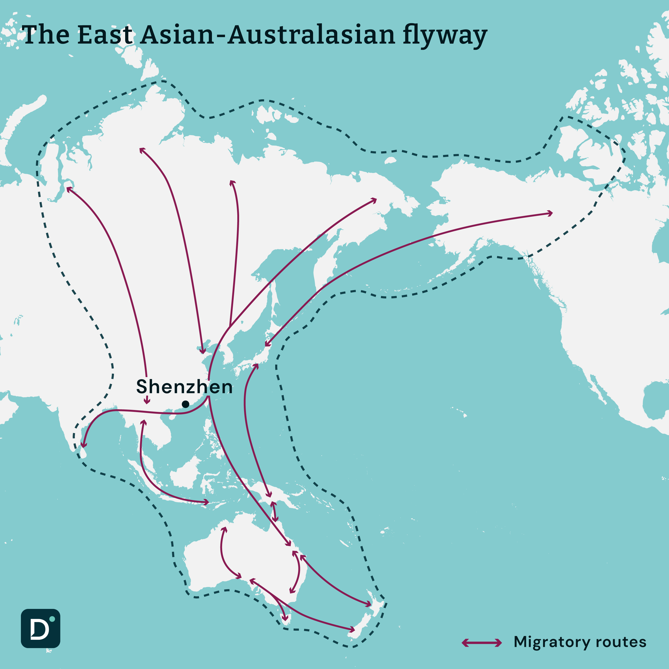 Map of the East Asian-Australasian flyway, marked with purple arrows