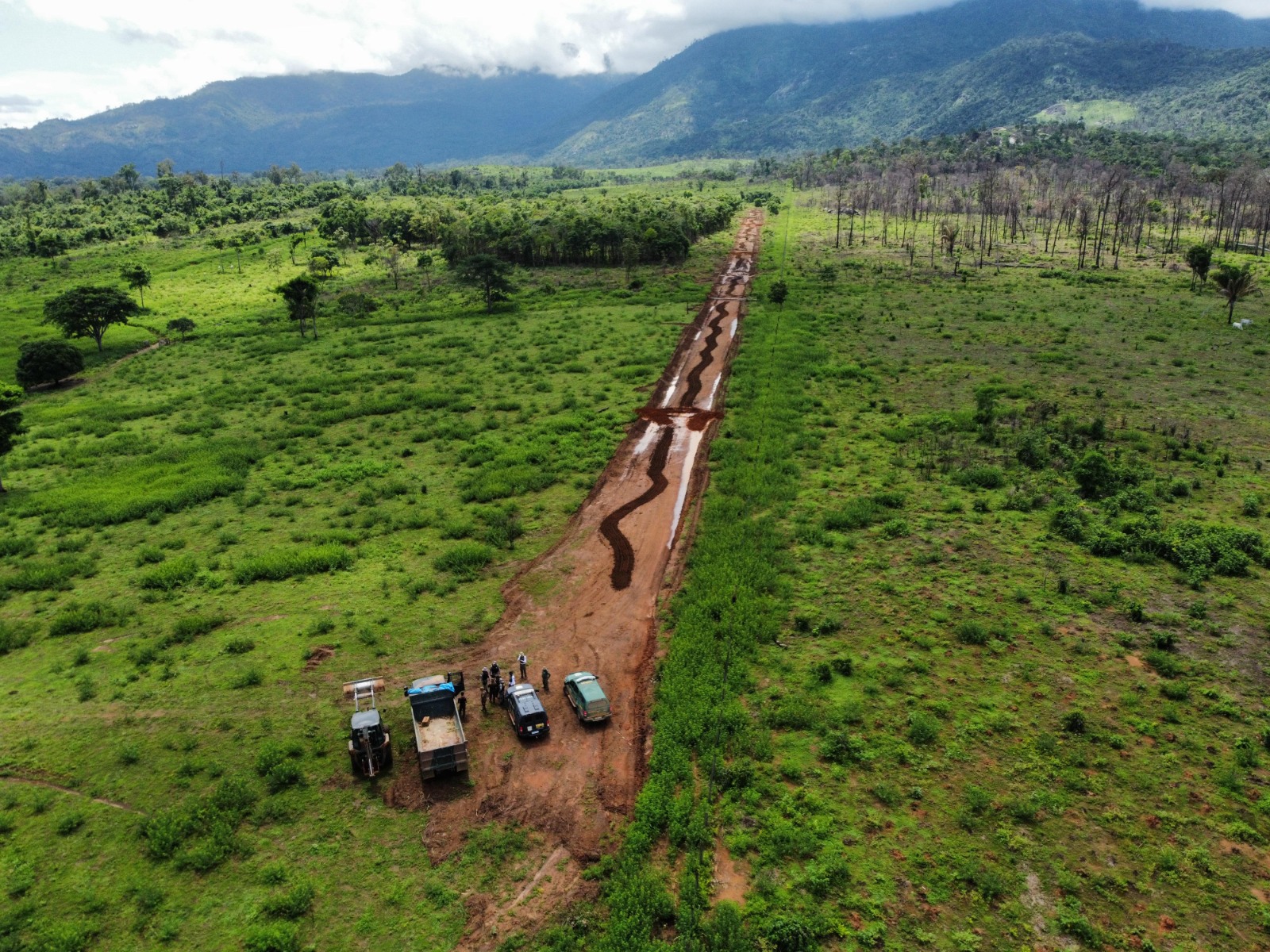 Camiones en un camino de tierra en medio de un campo con vegetación verde