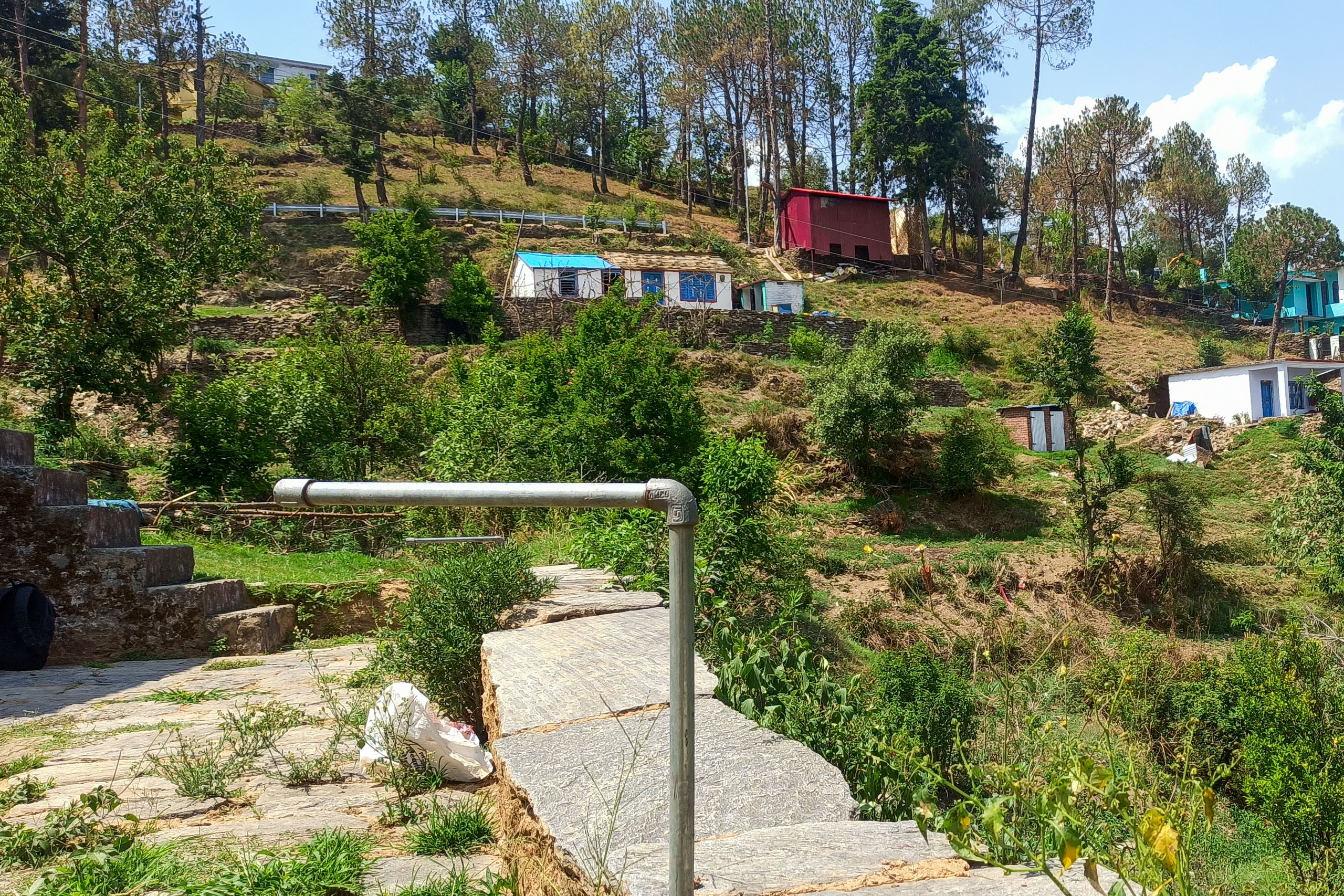 A hillside with houses and trees