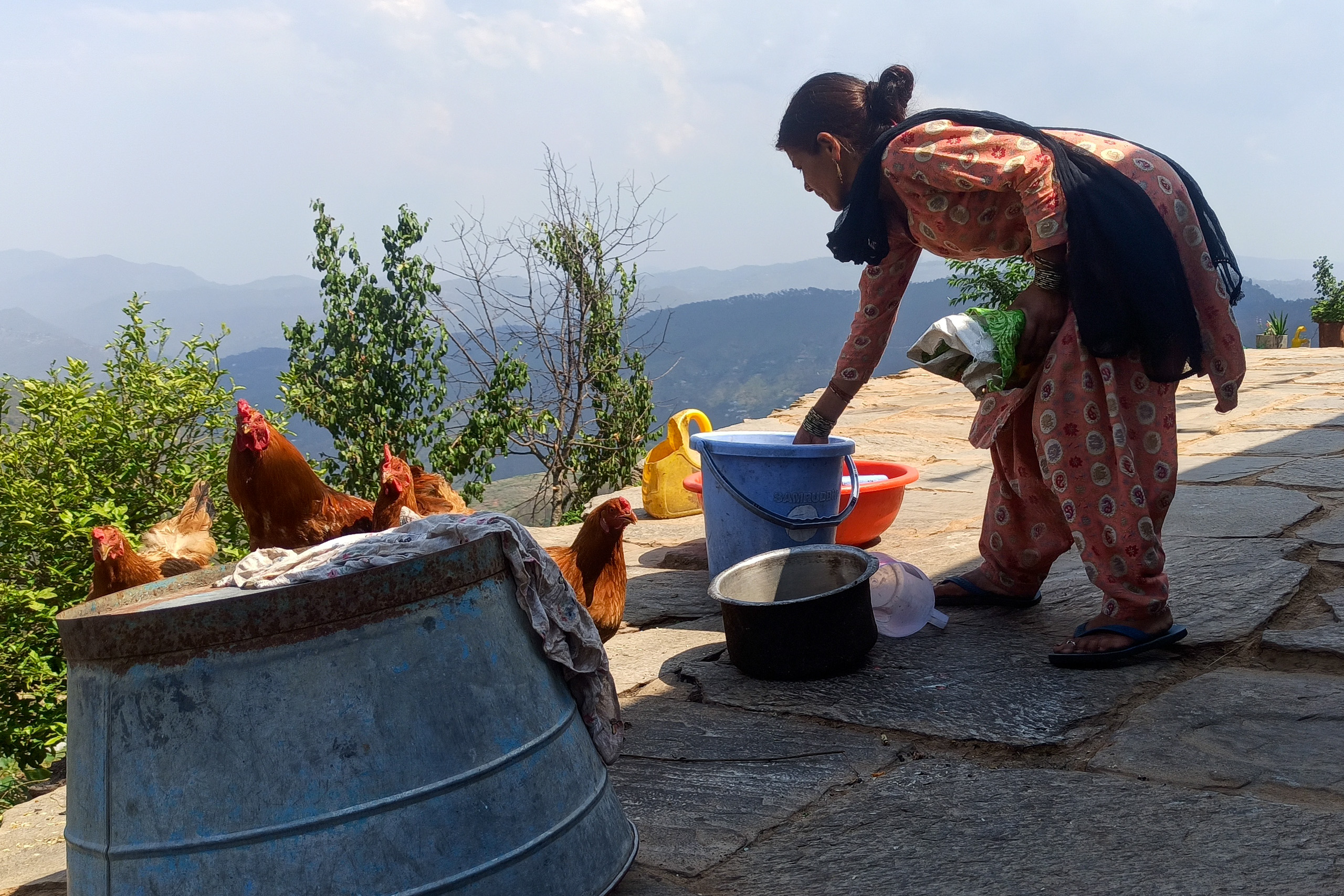 a woman feeding chickens 