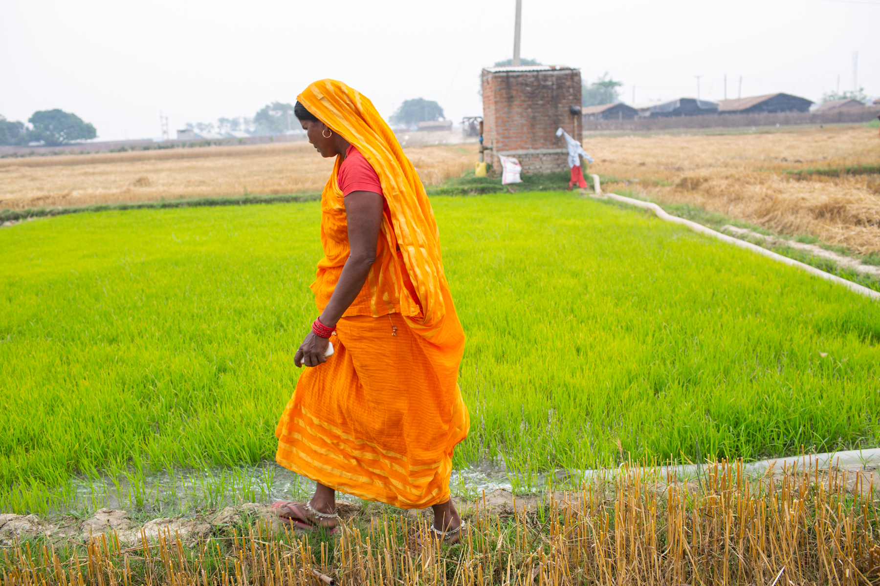 <p>Dhukhani Devi, a farmer in Nepal’s Terai region, inspects a pipe irrigating one of her fields (Image: Nabin Baral / International Water Management Institute)</p>