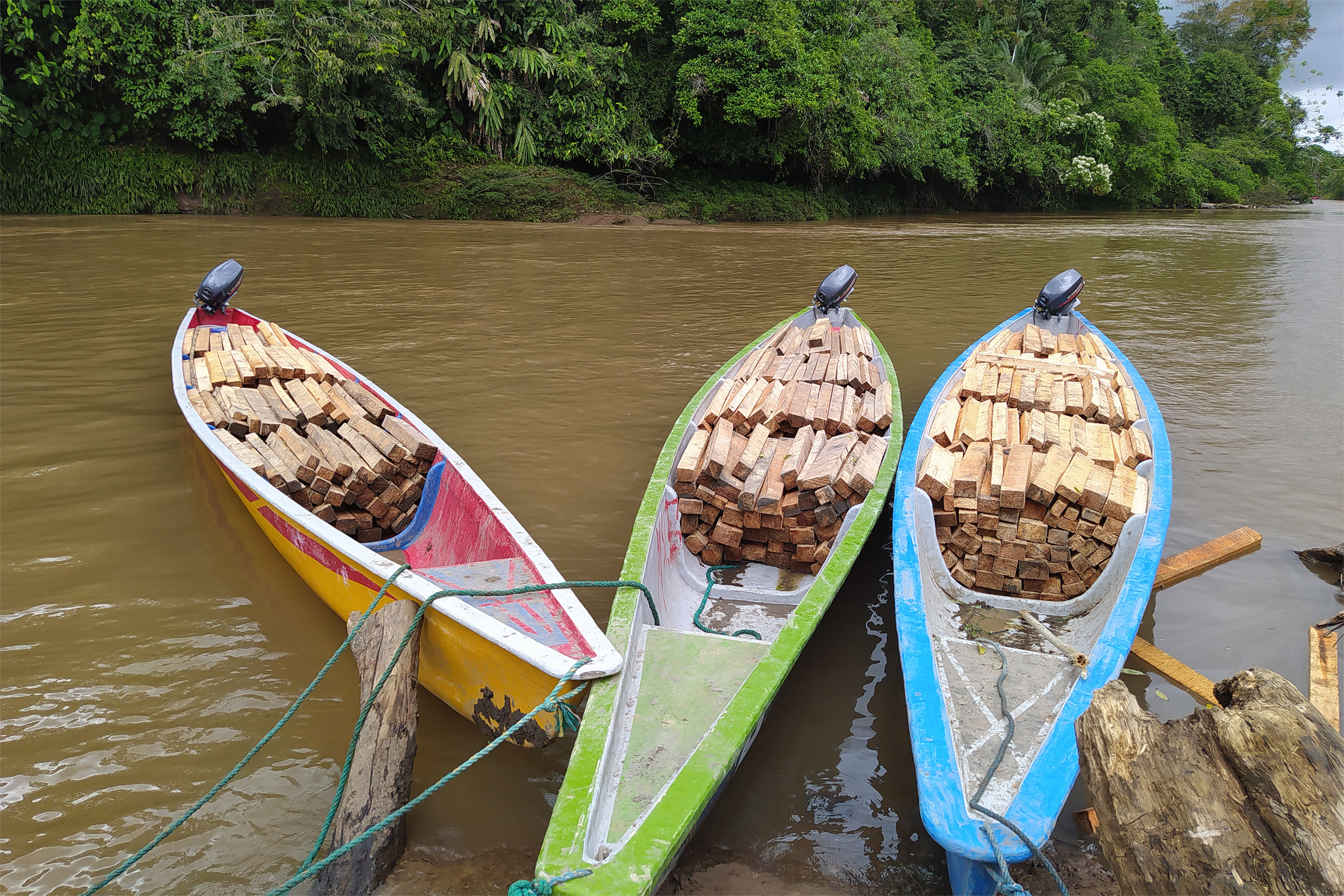 <p>Blocos da espécie pau-de-balsa enchem canoas no território indígena Achuar, na Amazônia equatoriana. Em 2020, sua corrida madeireira impulsionou exportações, mas deixou enormes problemas socioambientais (Imagem: Fundación Pachamama)</p>