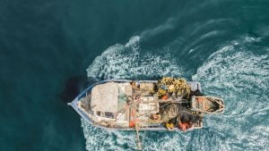 aerial view of fishing boat on blue water