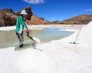 man standing in shallow water on salt flat shovelling salt