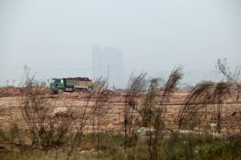 Shenzhen: How China’s most ‘futuristic’ city restored its mangroves