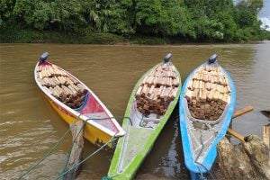 stacked blocks of wood in three narrow boats on river