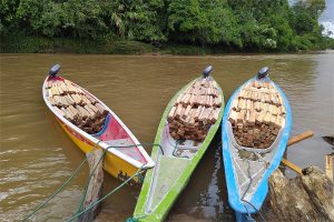 bloques de madera apilados en tres embarcaciones angostas en un río