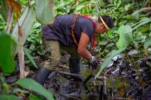 Alex Lucitante mexe em área contaminada por petróleo na Amazônia equatoriana