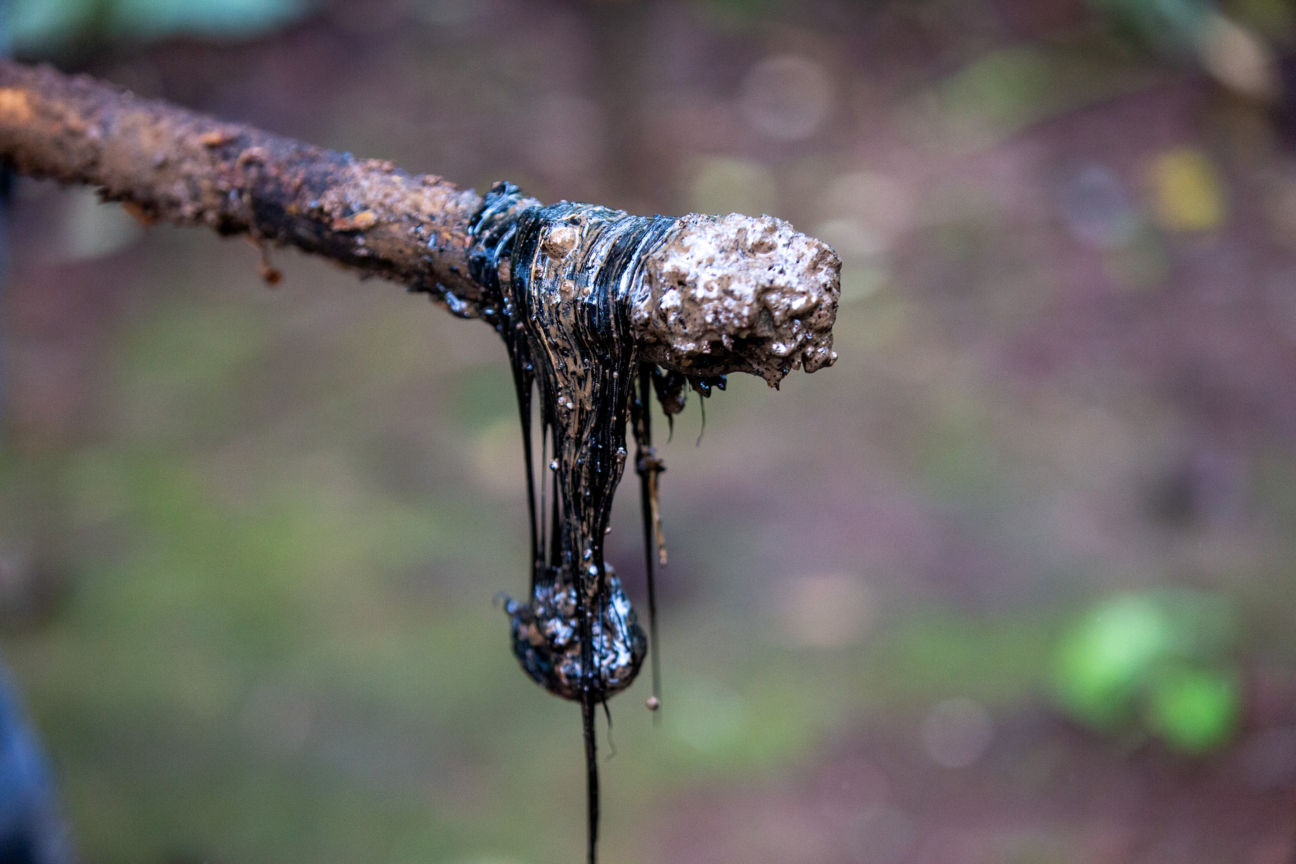 Un palo con aceite negro brillante goteando