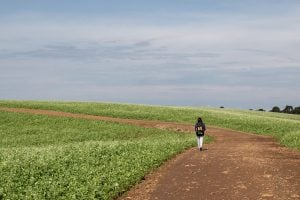 person walking up slight incline on dirt road bordered by grass