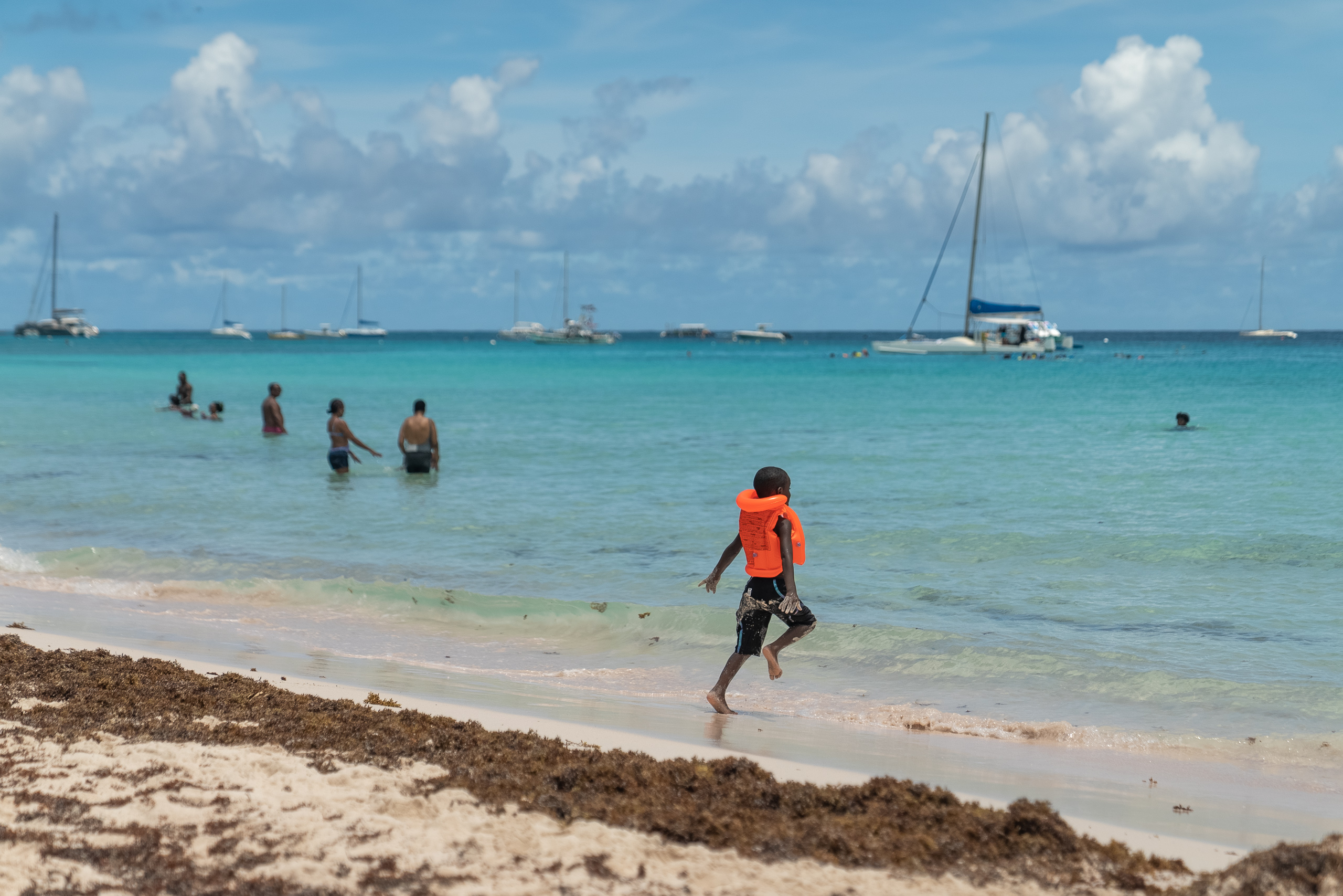 child on sargassum covered beach