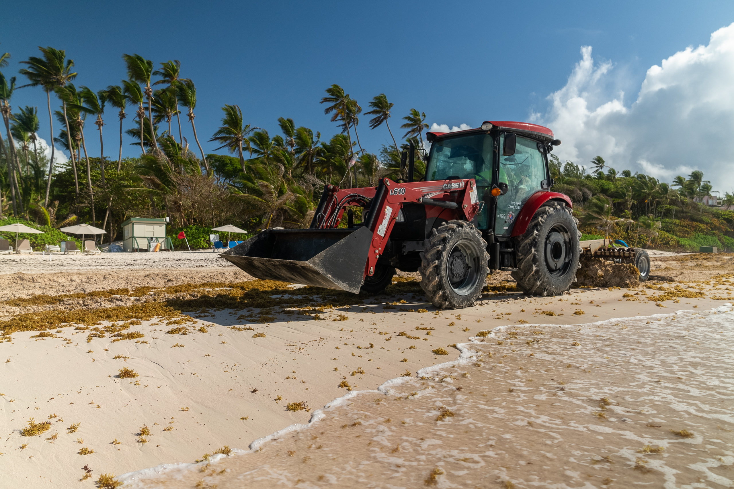 un tractor rojo en una playa cubierta de sargazo 