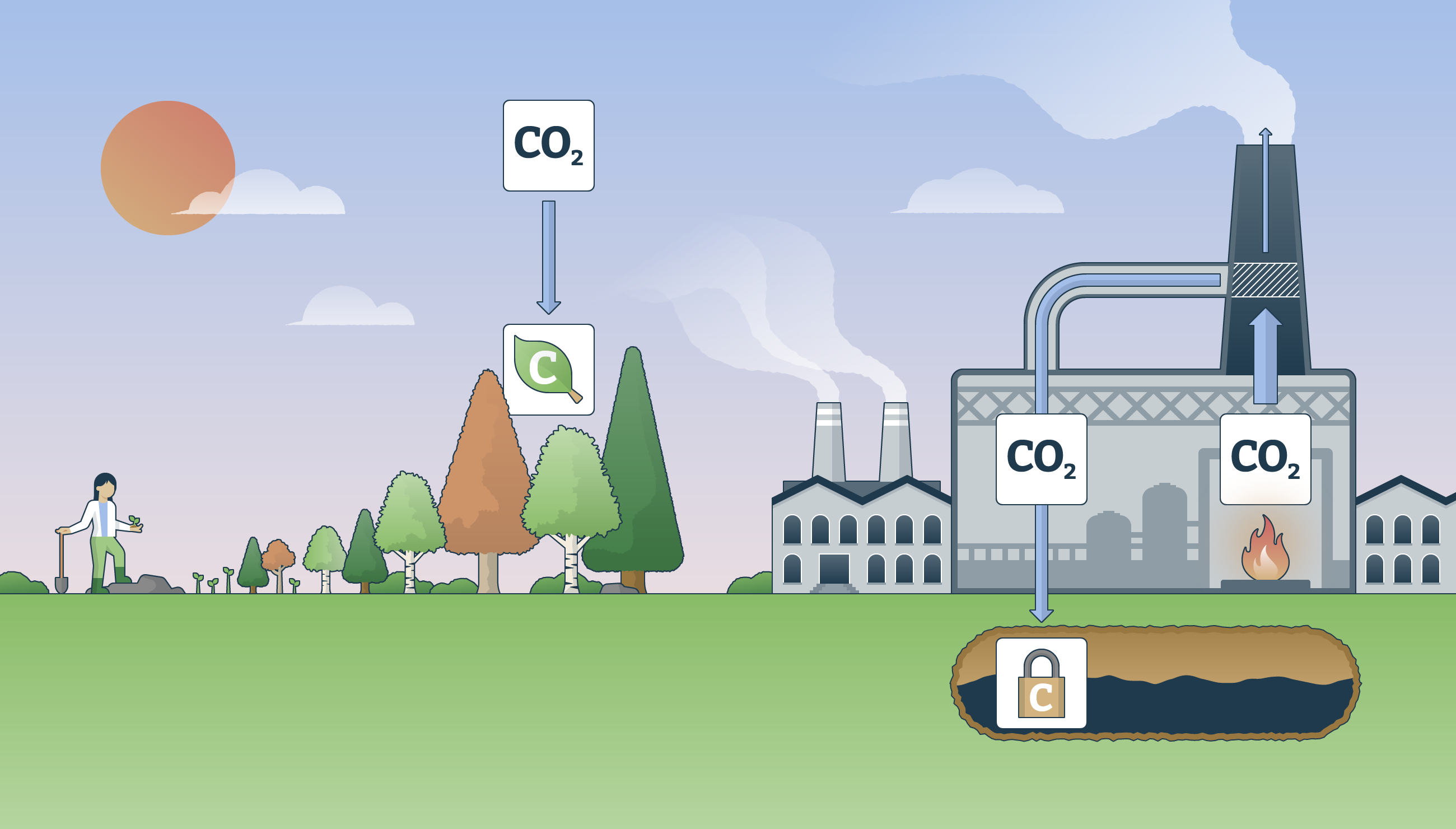 an illustration showing the process of removing CO2 