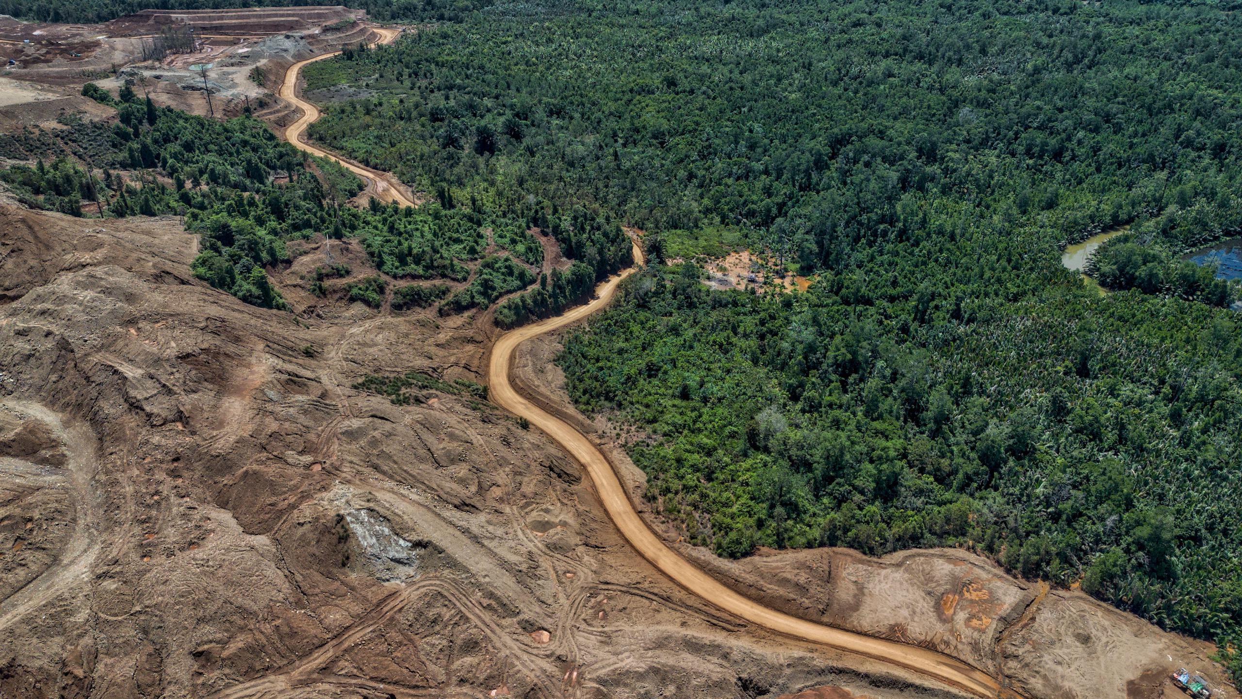 Pemandangan udara jalan berkelok di samping hutan hijau subur