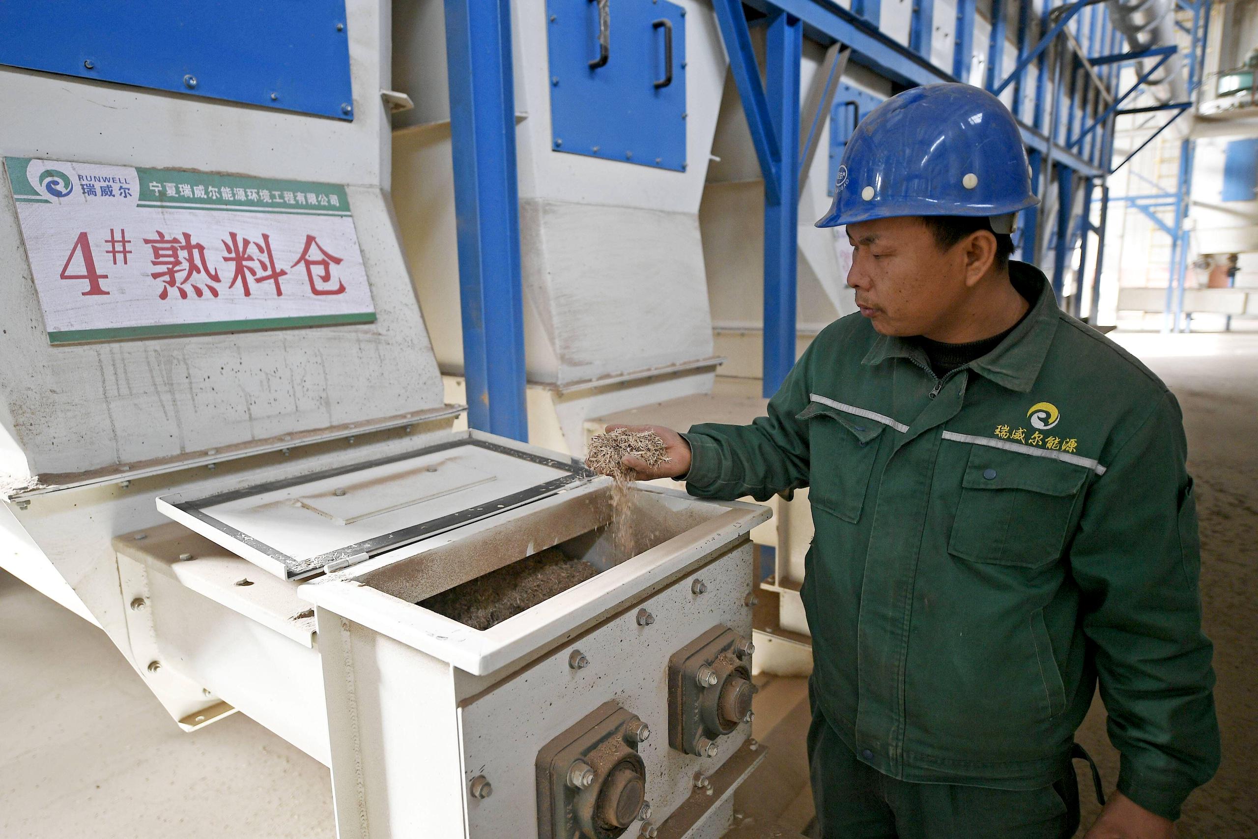 <p>在中国西北部青铜峡的一家生物质燃料生产公司，一名工人在检查加工材料。生物质将与煤炭混合使用，可以降低中国电厂中煤炭的碳强度。图片来源：Yang Zhisen / Imago / Alamy</p>