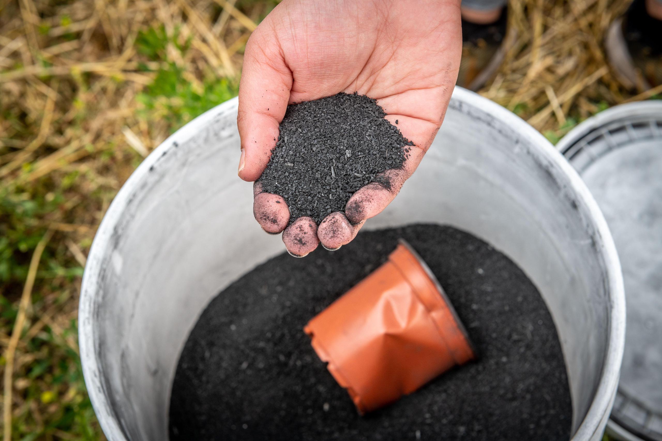 A hand holding biochar over a bucket