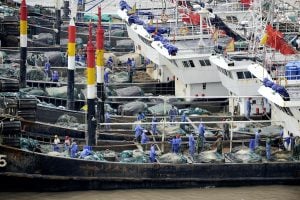 fishers prepare nets on their boats in a harbour