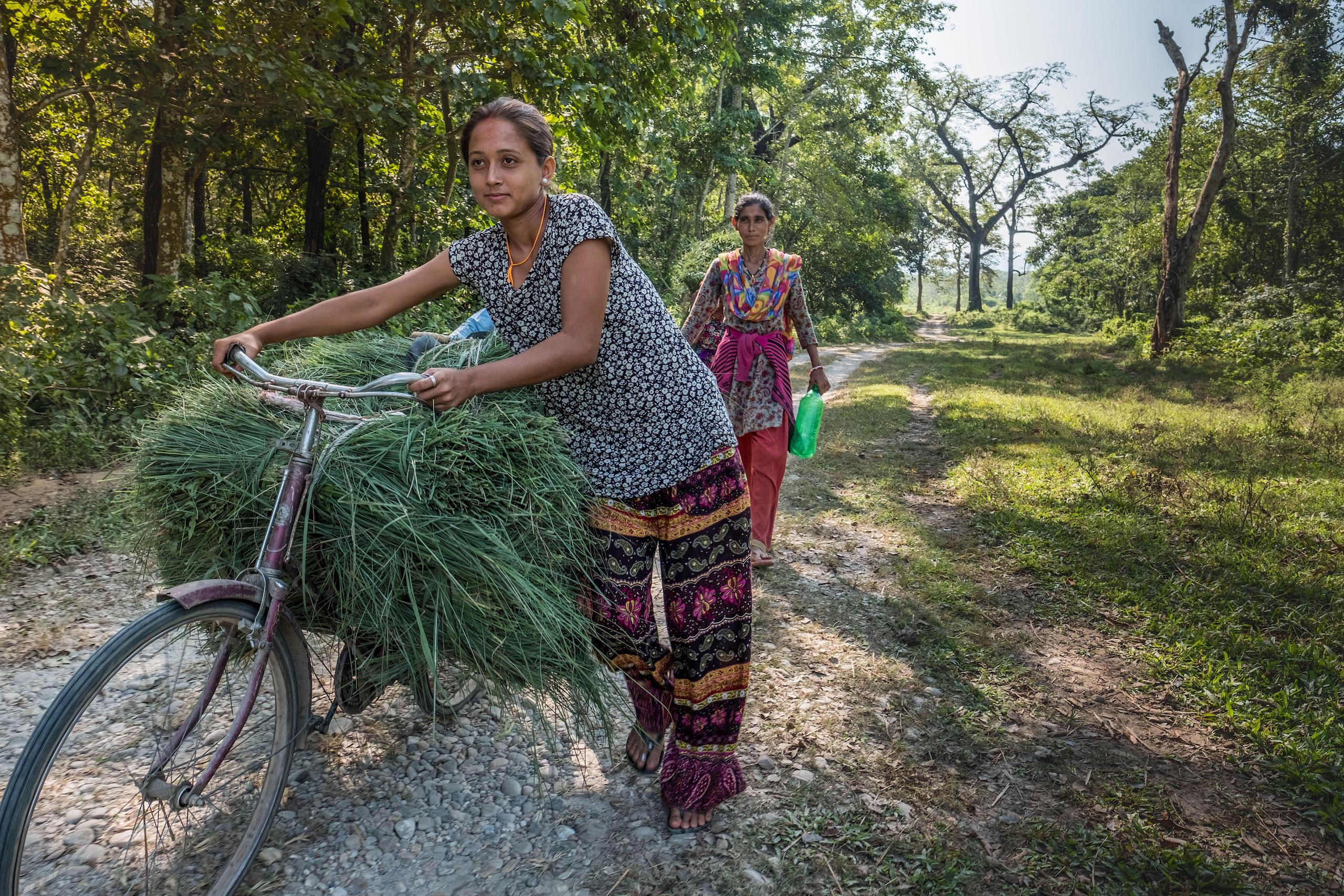 <p>In the Kumrose community forest located in Nepal’s Chitwan district, local villagers collect livestock fodder (Image: PBH / Alamy)</p>