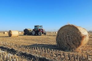 A tractor parked in a field surrounded by neatly stacked hay bales