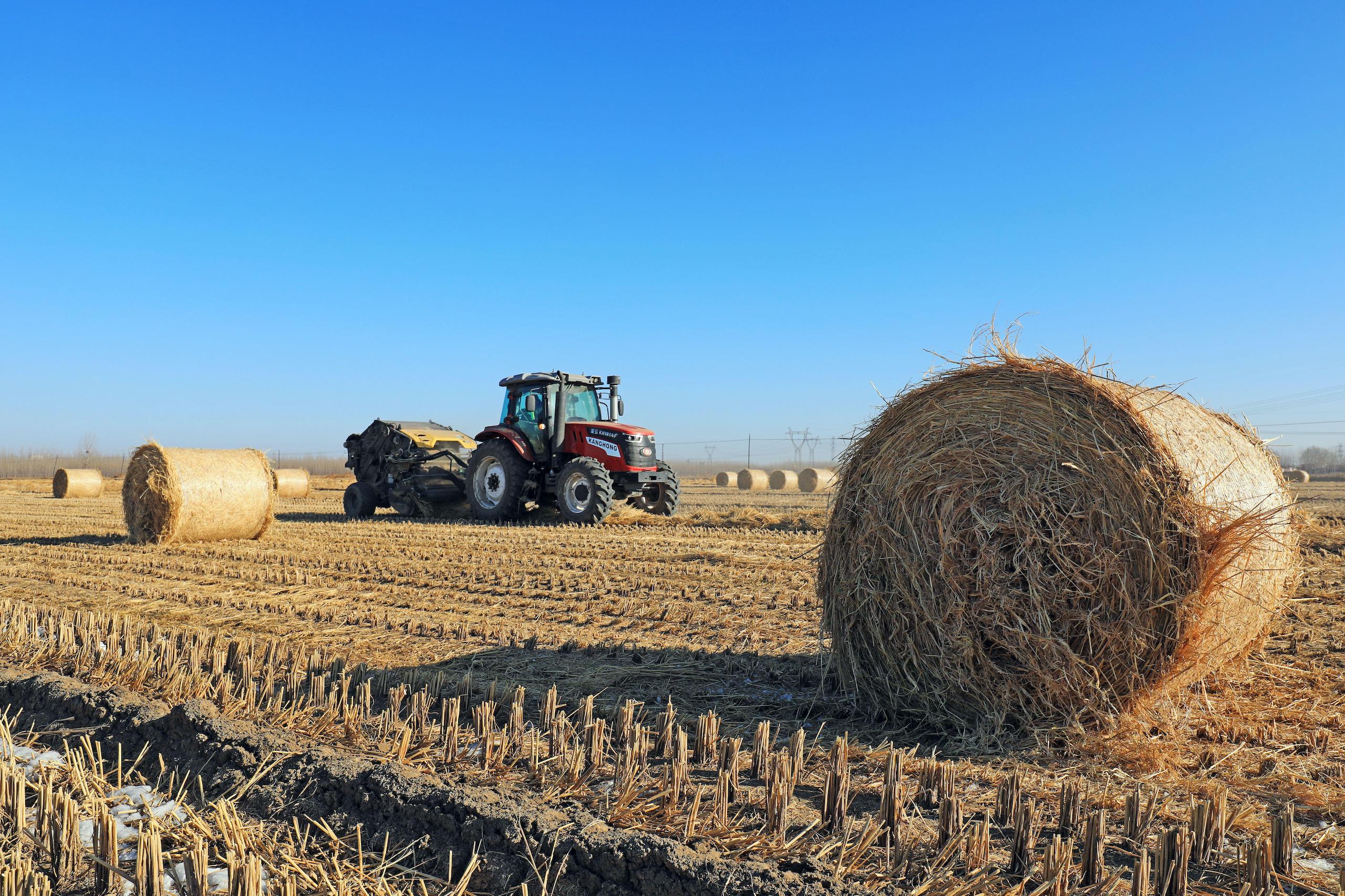 <p>A farmer creates bales from leftover straw following the harvest in north China’s Hebei province. Biochar made from agricultural residues like this is a mature technology that could help remove CO2 from the atmosphere (Image: Yongxin Zhang / Alamy)</p>