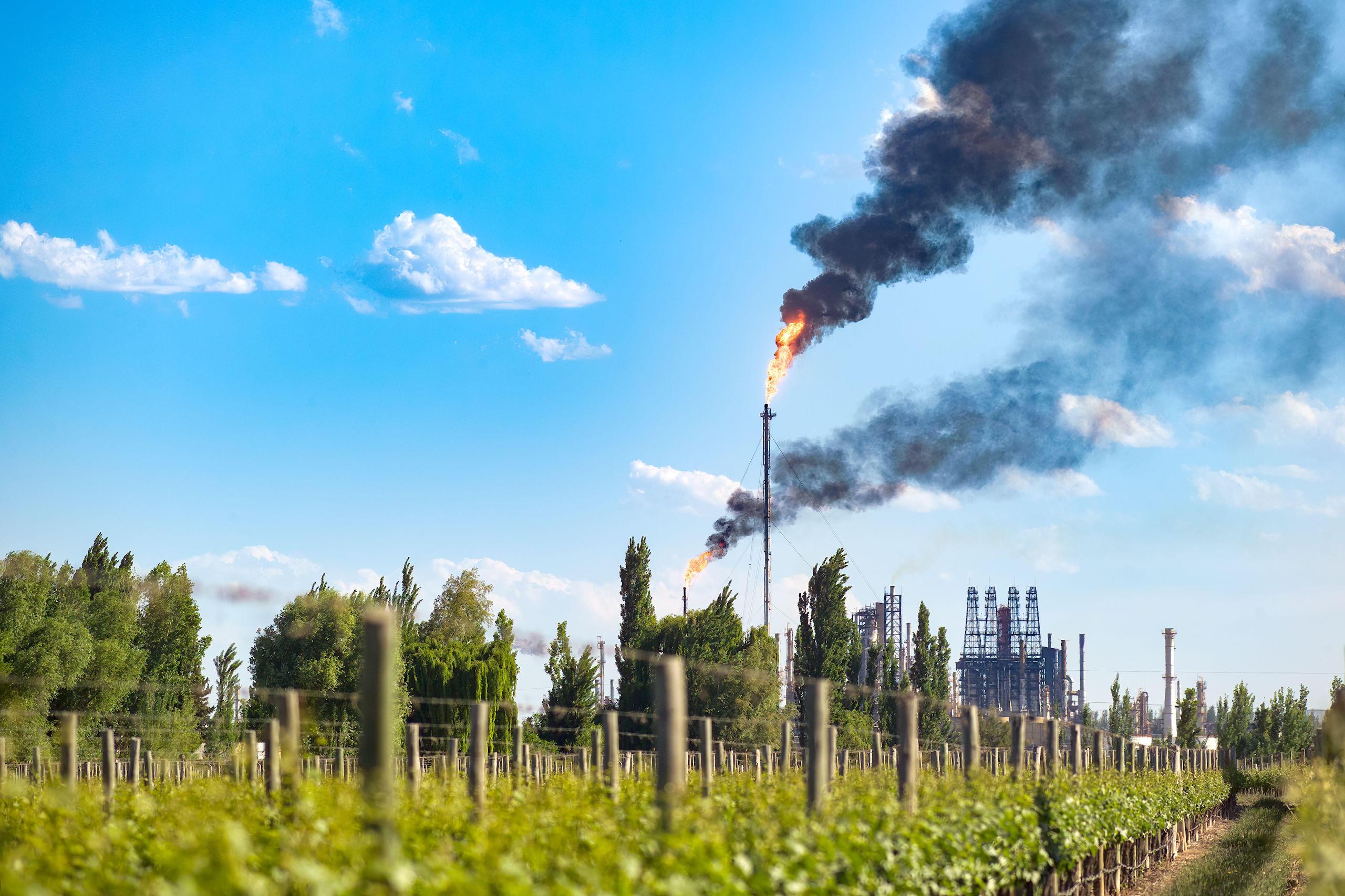 <p>Flaring at a thermal power plant next to a vineyard in Mendoza, Argentina. The country’s oil and gas sectors are among those that may benefit from tax and customs exemptions put forward by the new government (Image: Jose Luis Stephens / Alamy)</p>