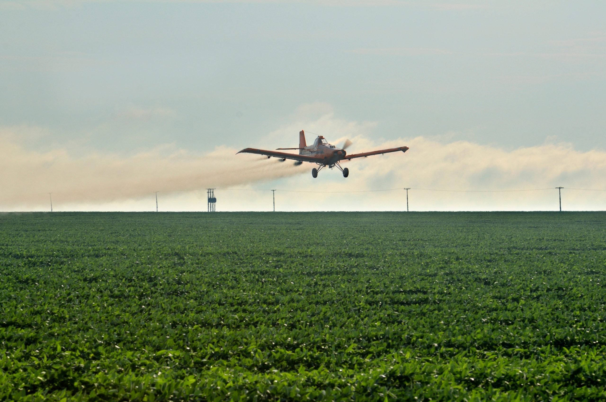 Avião despeja agrotóxicos em plantações de soja em Mato Grosso