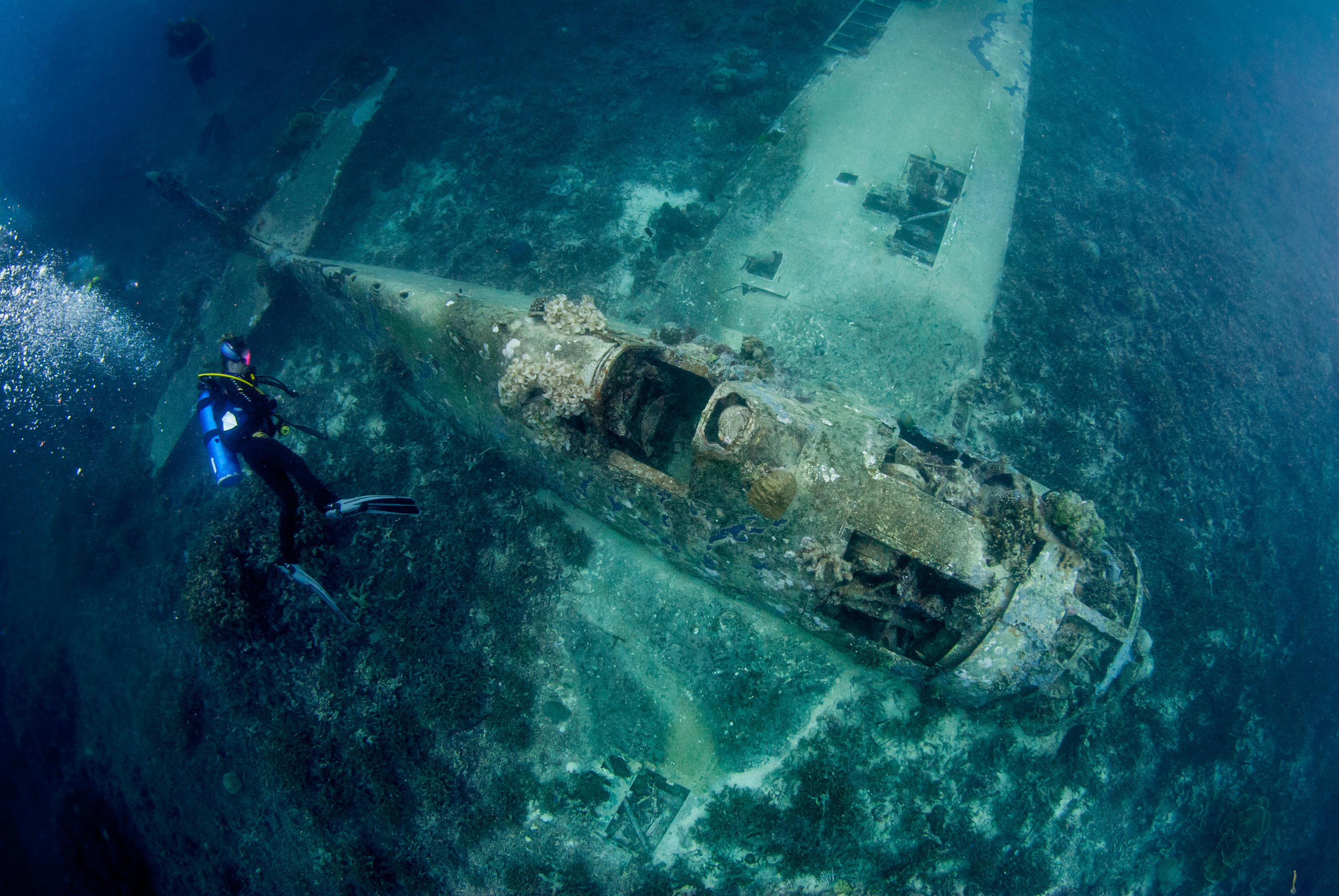 <p>The remnants of a second world war US navy aircraft, pictured on the Pacific seabed of the Solomon Islands (Image: Media Drum World / Alamy)</p>