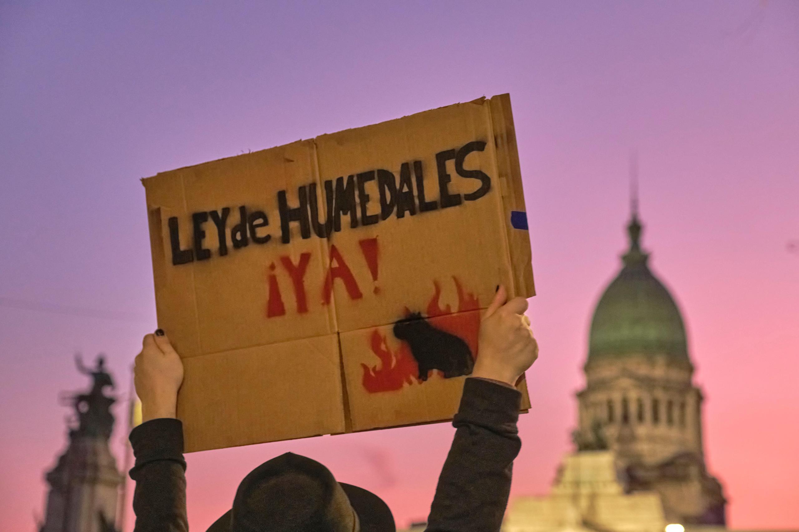 Una persona sostiene un cartel que dice "Ley de Humedales Ya" frente al Congreso argentino 