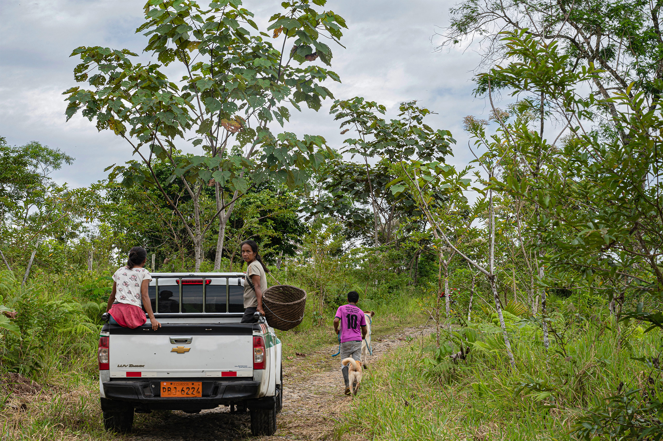 Indígenas equatorianos em caminhonete branca atravessam estrada próxima ao Parque Nacional Yasuní