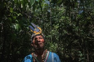 un hombre en una zona boscosa mirando hacia arriba