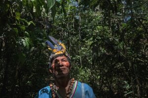 man in forested area looking up