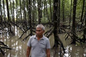 grey haired man standing near mangrove