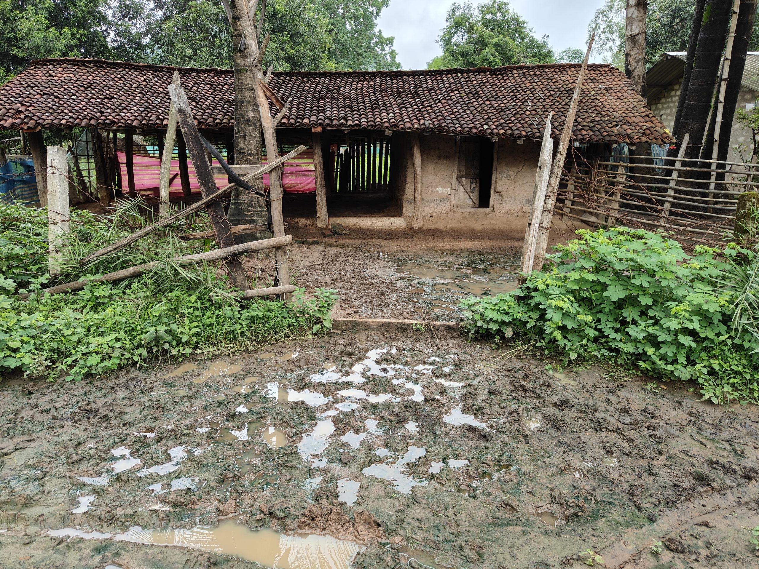 long roofed structure with muddy front yard