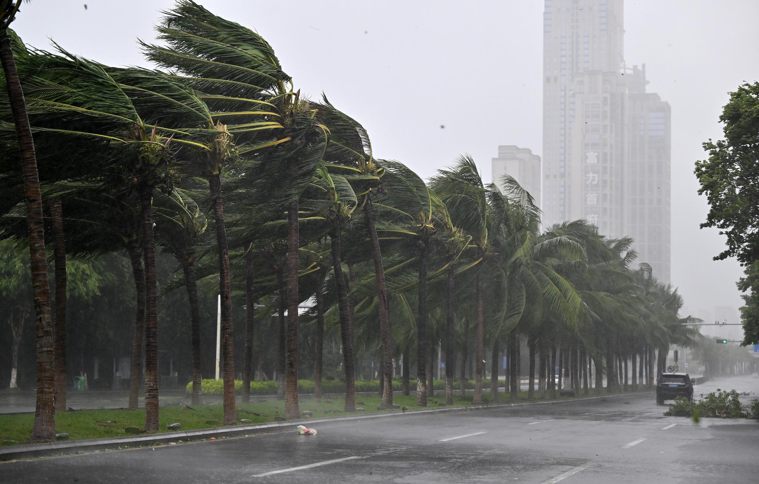 <p>Coconut trees are battered by strong winds on a street in Haikou, Hainan province, during Super Typhoon Yagi on 6 September (Image: Guo Cheng / Xinhua / Alamy)</p>