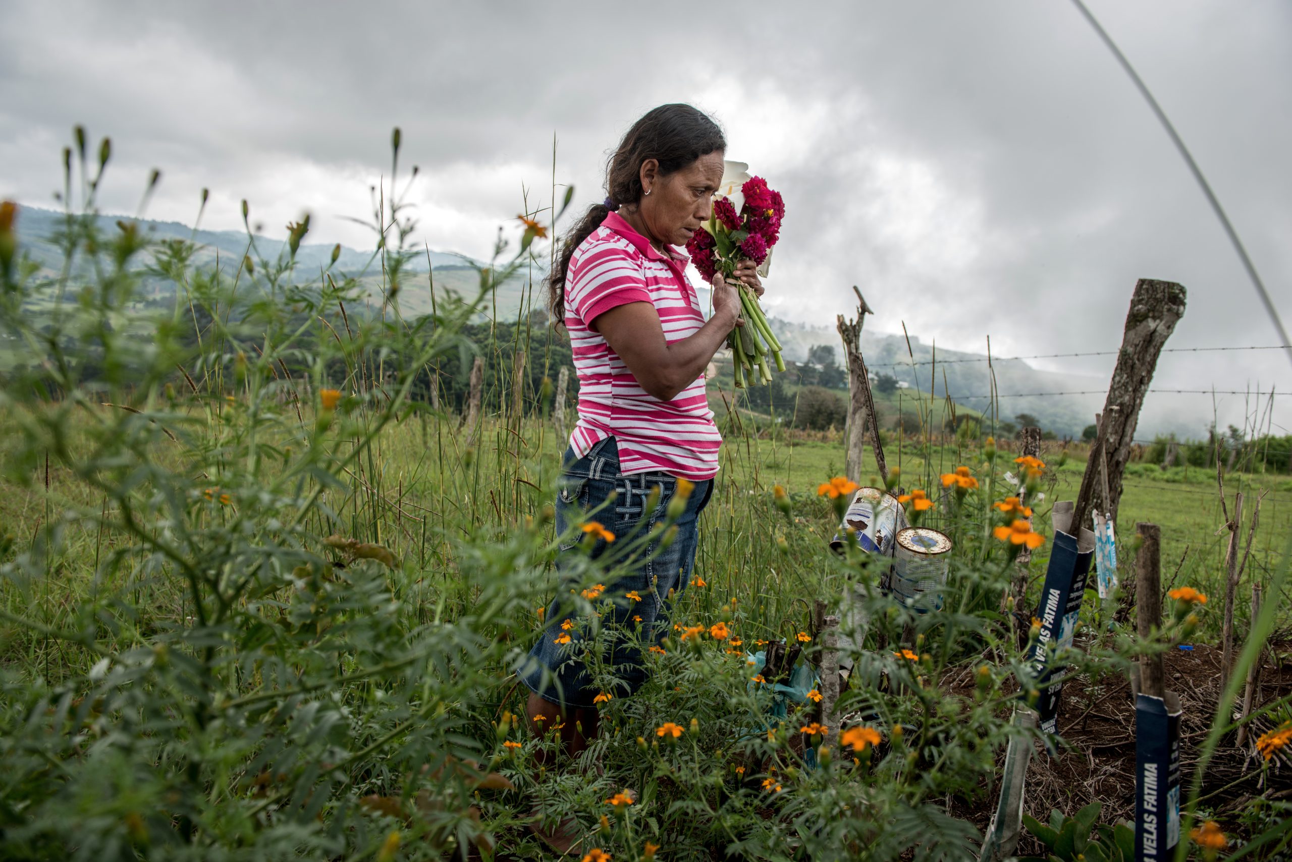 <p>Julia Francisco Martínez carries flowers to the grave of her husband, Juan Francisco Martínez, an Indigenous activist murdered in Honduras in 2015. Central American defenders have faced more attacks per capita than anywhere else in the world, with Honduras, Guatemala and Nicaragua particularly violent (Image © Giles Clarke / Global Witness)</p>