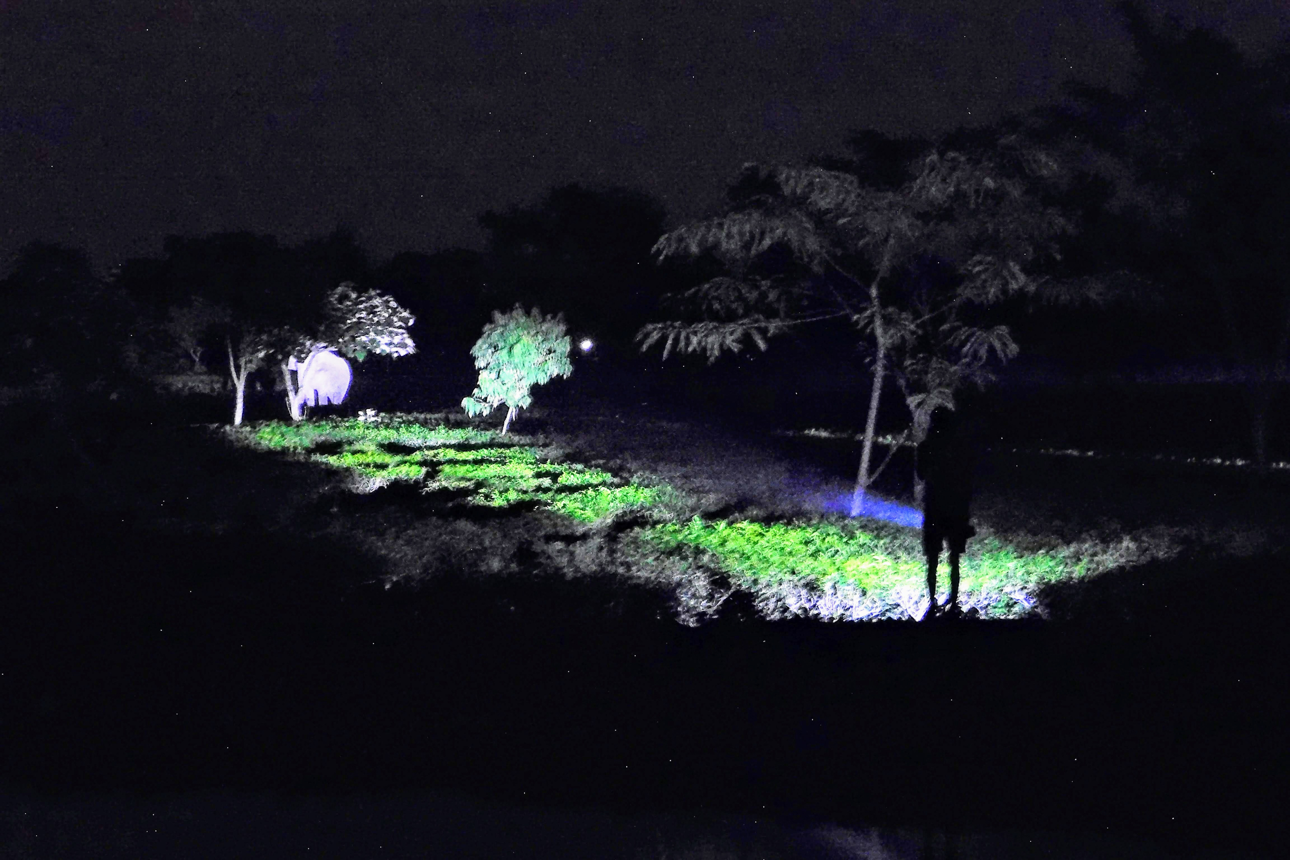 A person stands in darkness,holding a flashlight