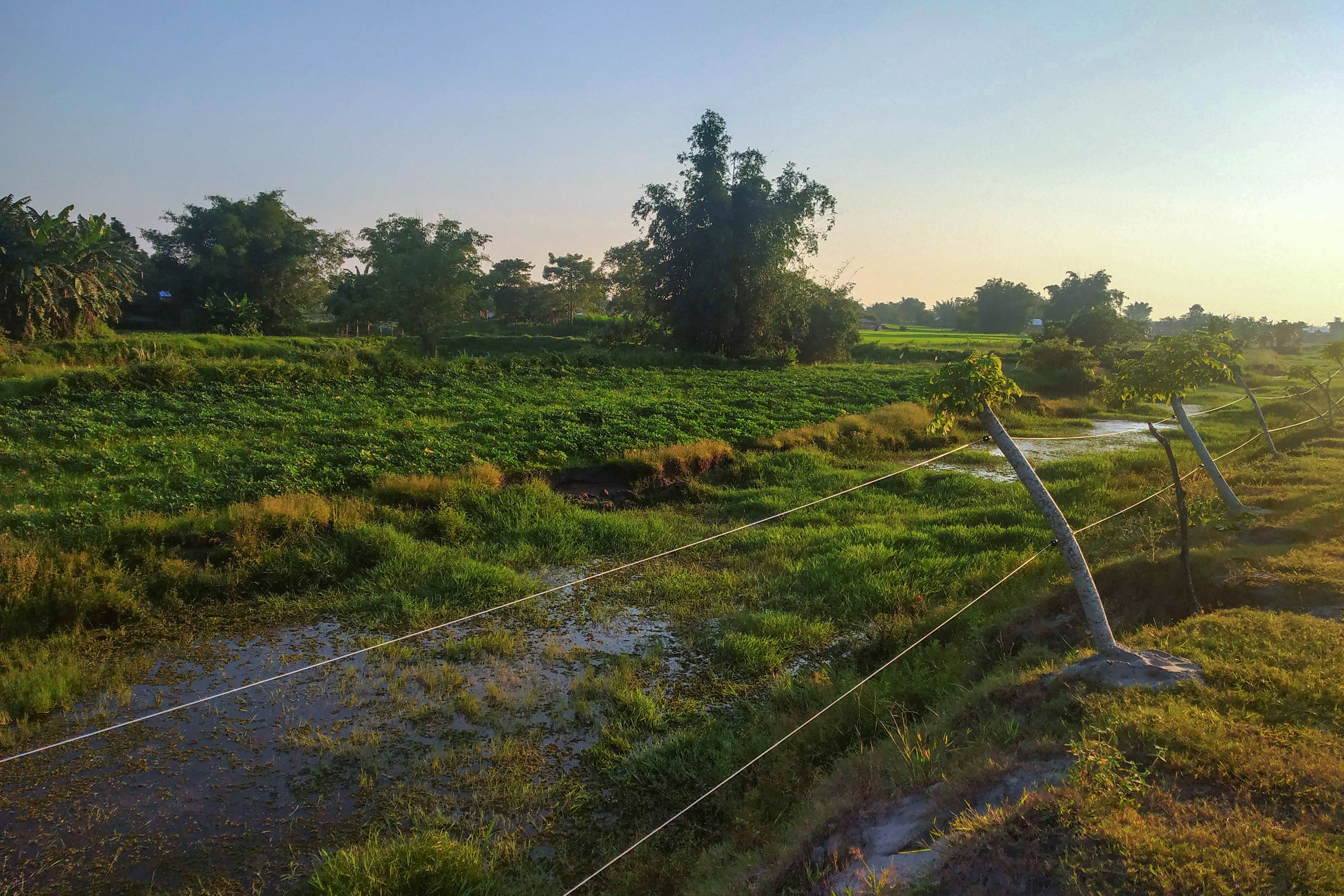 A fence stands in a grassy field