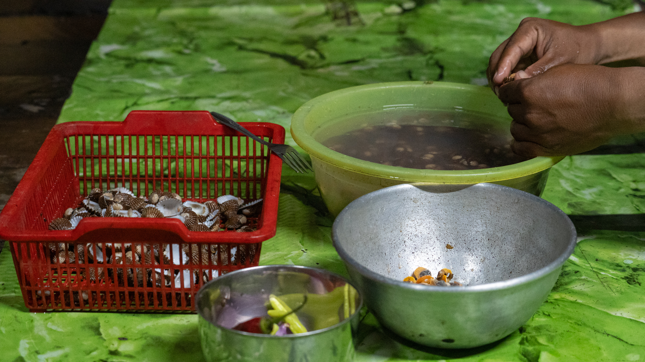 clams are shucked by hand 