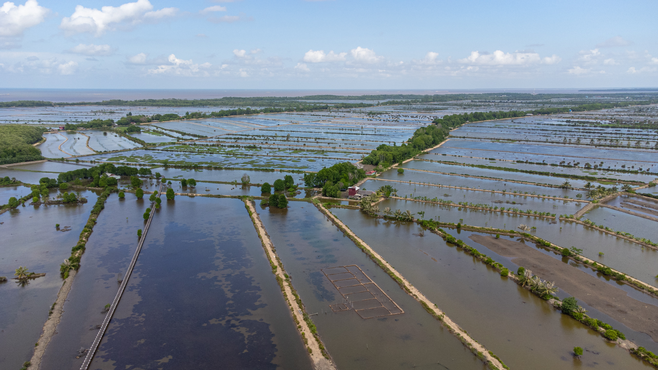 Aerial view of aquaculture ponds 