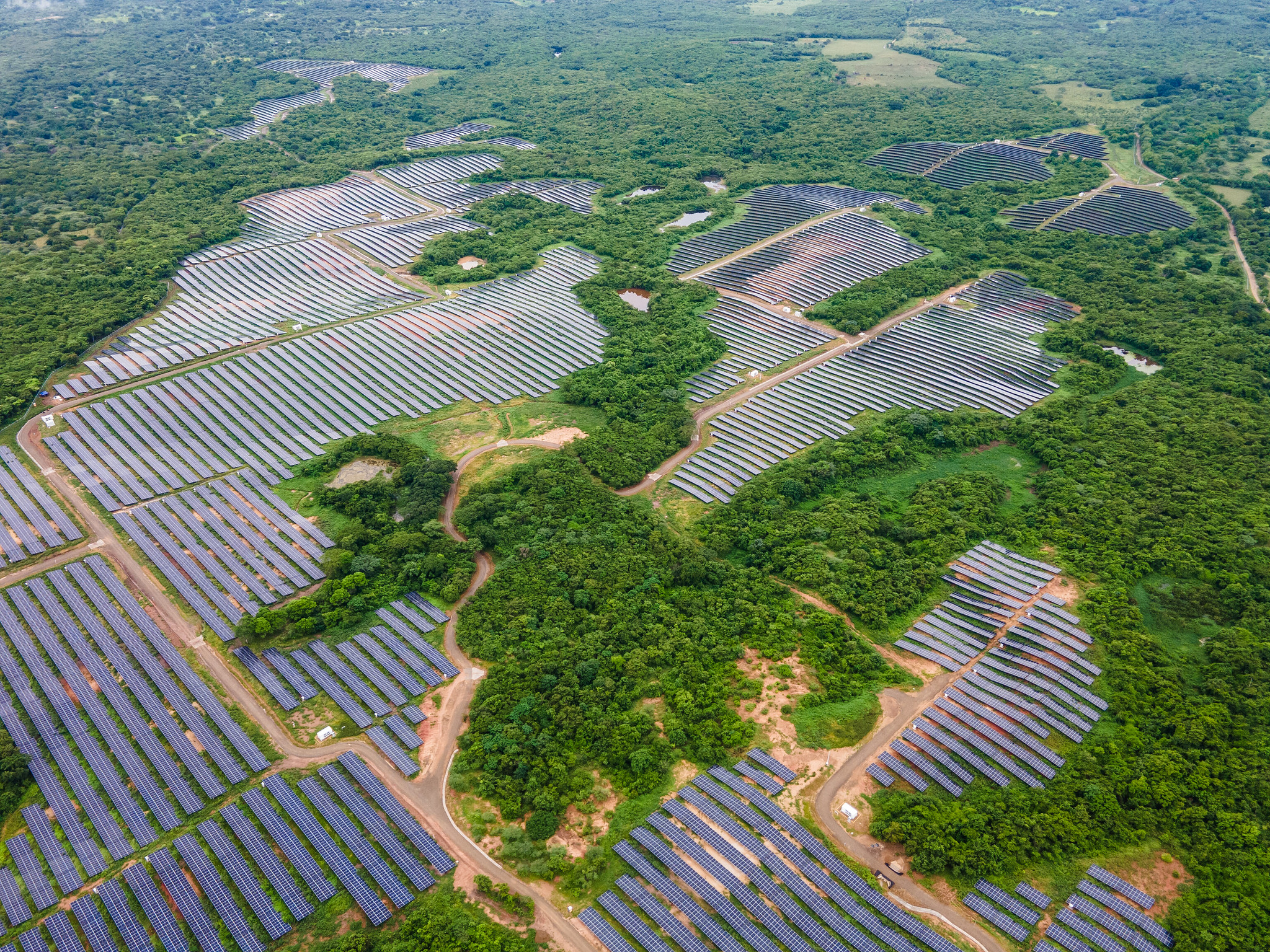 aerial view of large sprawl of solar panels among forest