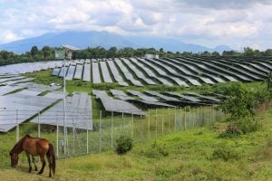 horse grazing near fenced solar field