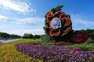 flowerbed beneath FOCAC display