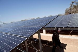 man walking among large ground level solar panels