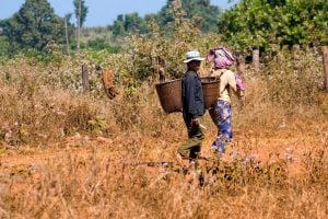 man and woman carrying baskets on backs, walking through farm