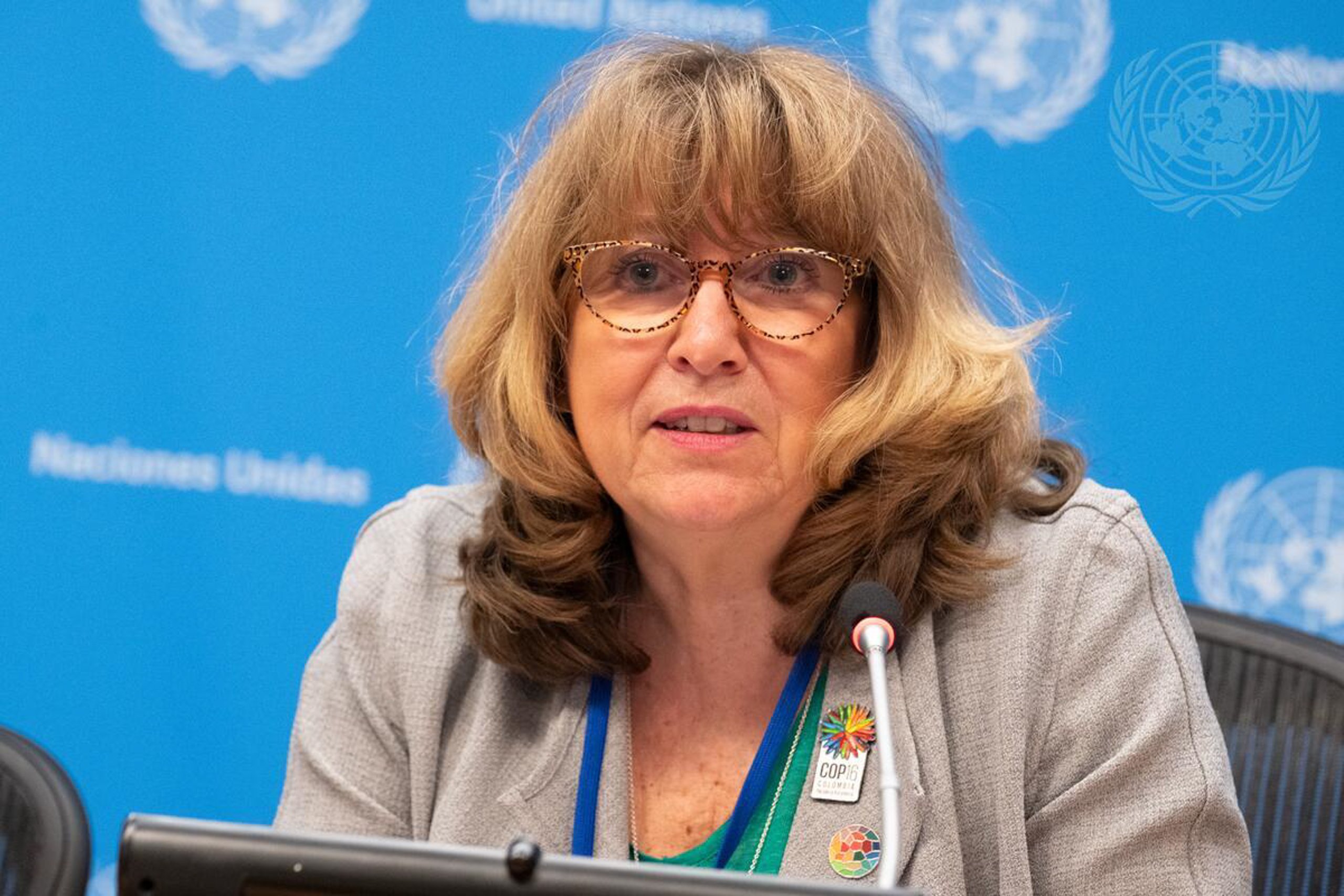 <p>Astrid Schomaker, executive secretary of the CBD Secretariat, briefs journalists ahead of COP16, which will take place in Colombia from 21 October to 1 November (Image: Image © UN Photo/Manuel Elías)</p>