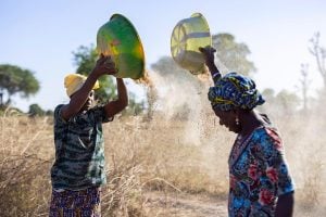 two women winnow their millet crop after harvest