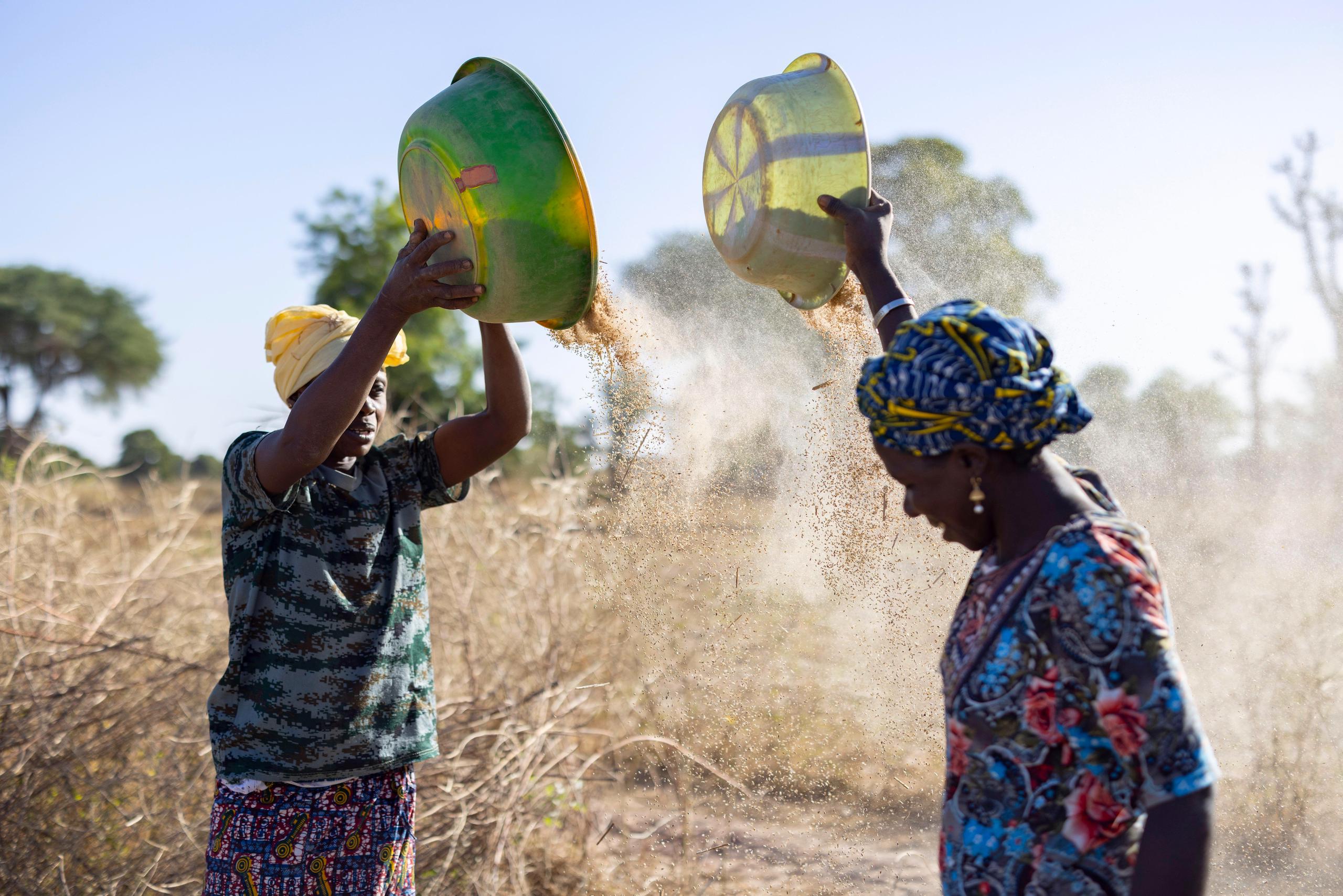 <p>Farmers sift their millet harvest in Mali&#8217;s Ségou Region. The country is one of three in West Africa&#8217;s Sahel area that is turning its back on regional efforts to mitigate climate change, despite increasingly severe droughts and floods (Image: Jake Lyell / Alamy)</p>