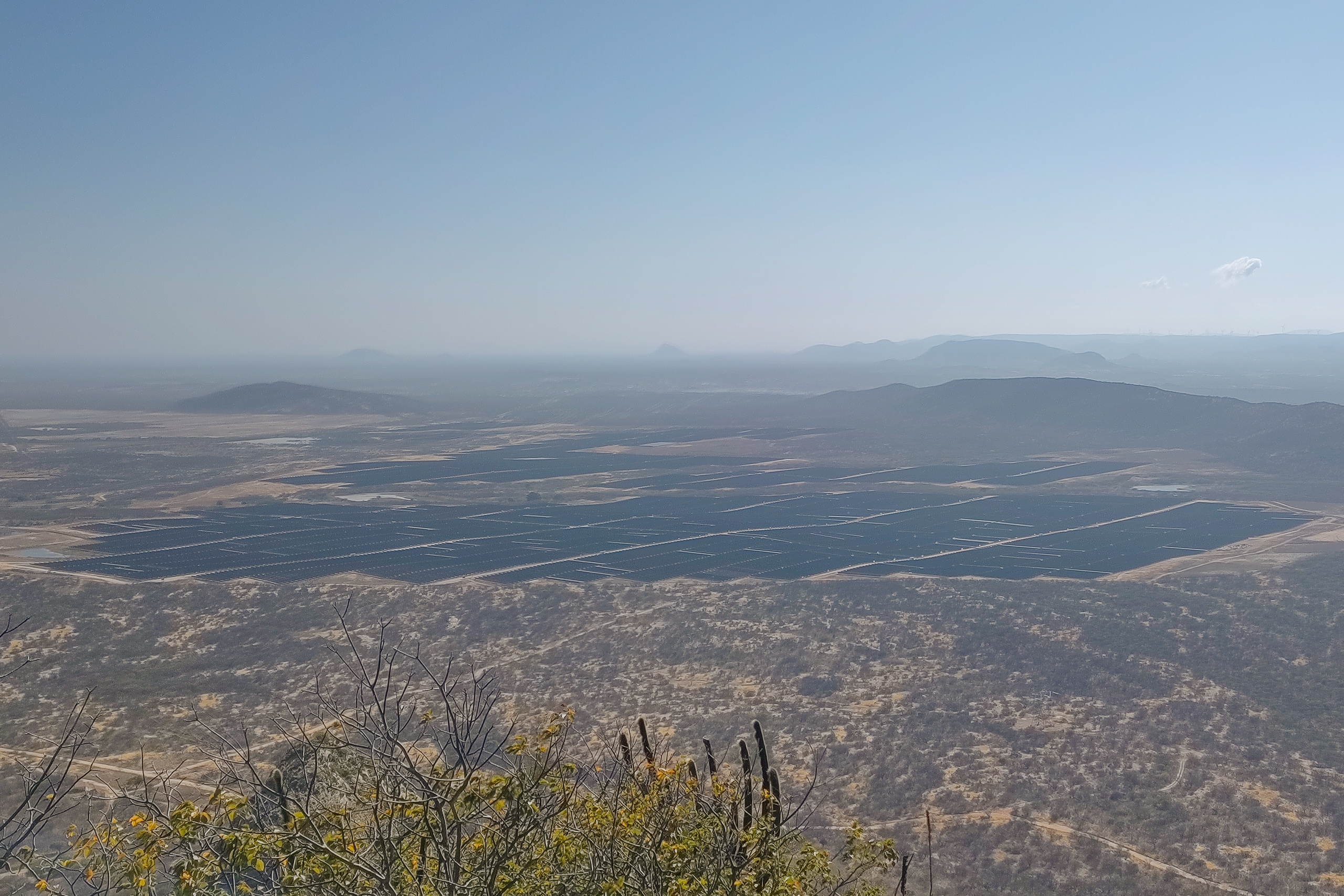 <p>Vista de una de las 28 centrales del complejo solar de Santa Luzia, en la árida región del Seridó, en el estado de Paraíba, Brasil. En 2027 el complejo podría deforestar 1.500 hectáreas para instalar más de 2,6 millones de paneles fotovoltaicos y alcanzar 1,4 gigavatios de potencia instalada (Imagen: Yasmin Formiga)</p>