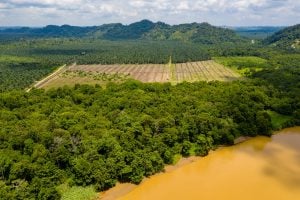 Aerial view of large scale deforestation in rainforest