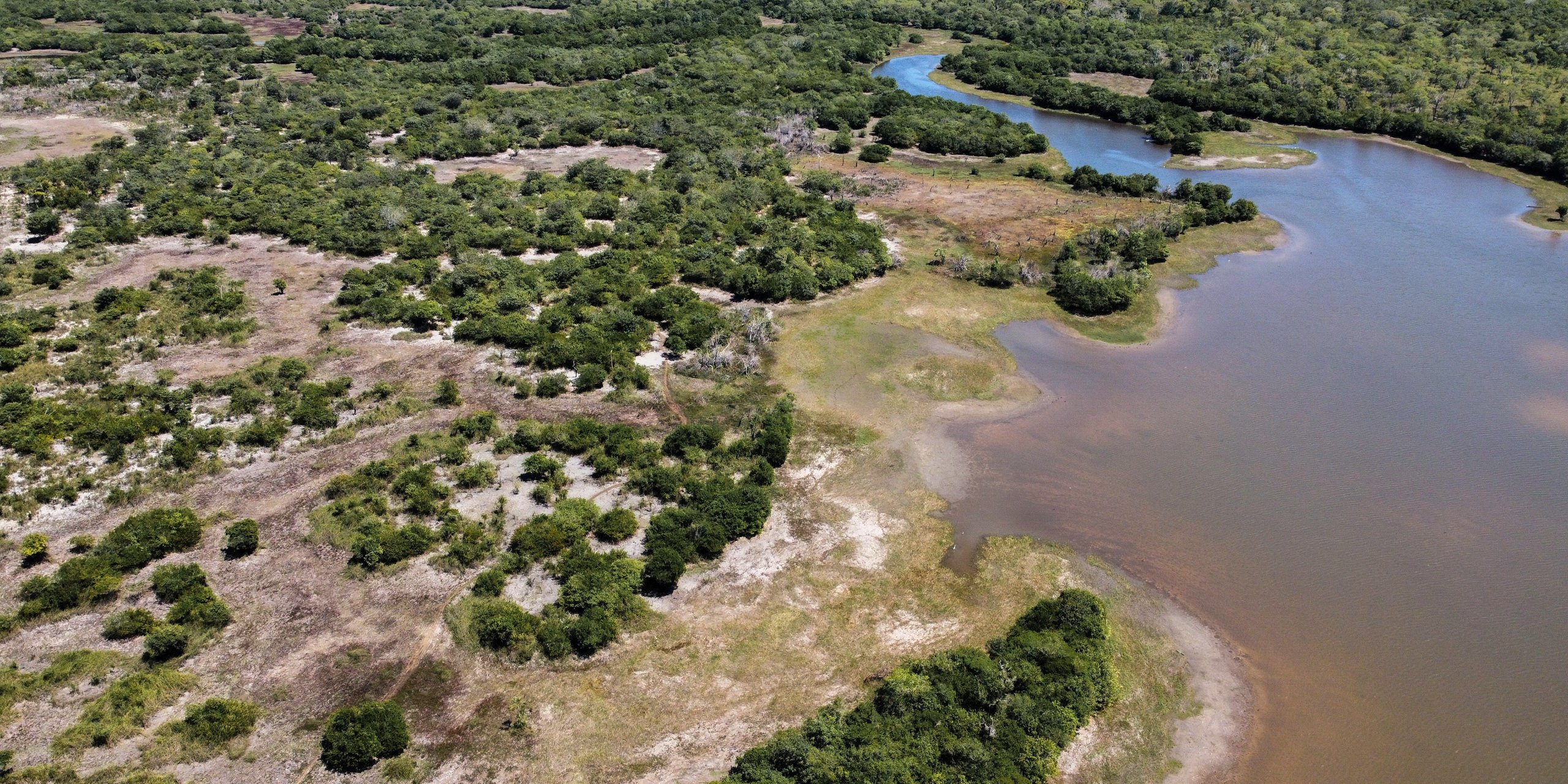 <p><span style="font-weight: 400;">Areas of the sandy bed of the Piyulaga lagoon, in the Xingu Indigenous territory in Mato Grosso state, Brazil, lie exposed due to a historic drought in the Xingu Basin, August 2024. The nearby Waurá people depend on the lagoon’s fish for sustenance (Image: Flávia Milhorance / Dialogue Earth)</span></p>